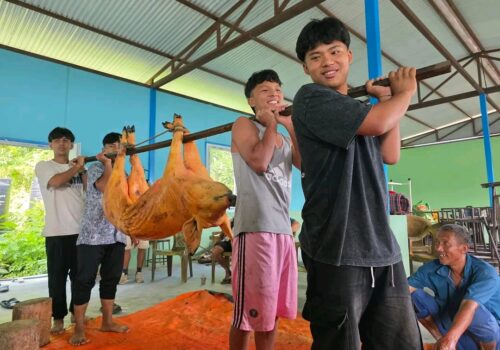 आत्मनिर्भर बन्दै रामेछापको डहु मावि, बङ्गुर बेचेर लाखौं आम्दानी