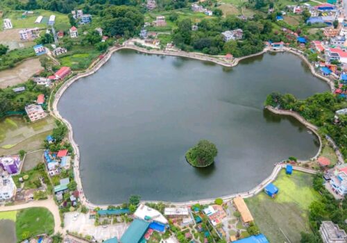 नेपालको नेता र राजनिती